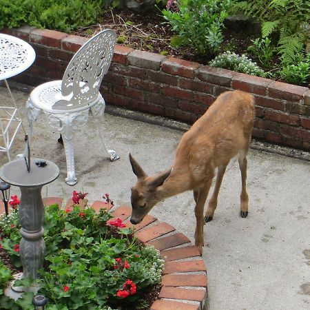 Caprice Bed & Breakfast Roberts Creek Bagian luar foto
